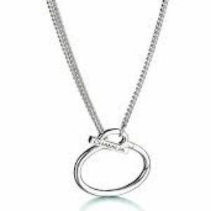 Chamilia Sterling Silver Eternity Necklace.